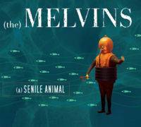 The Melvins : (A) Senile Animal